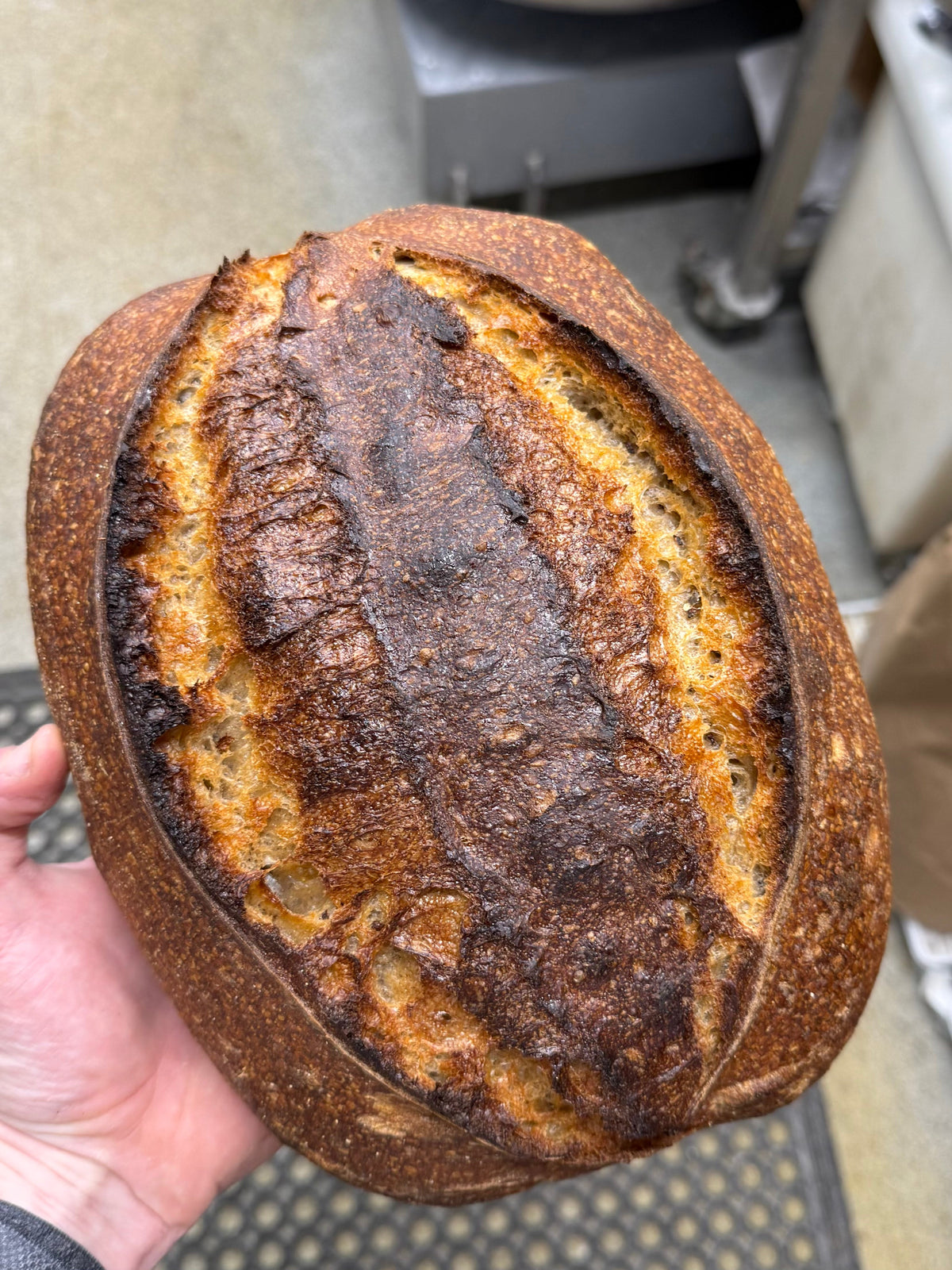 BREADS